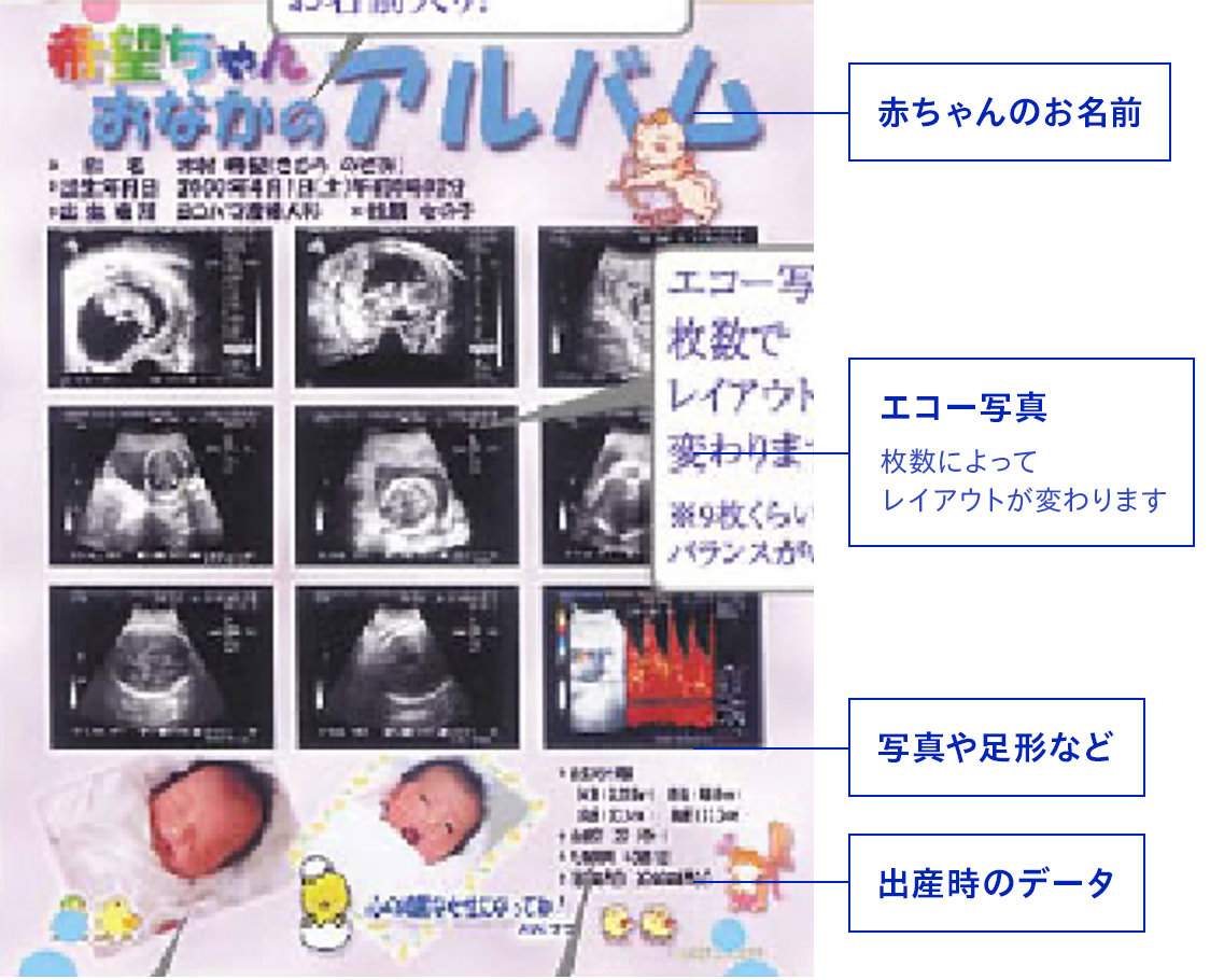 おなかのアルバムの内容